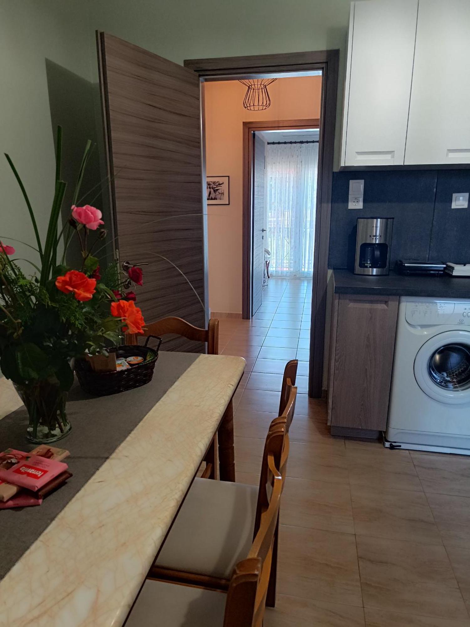 Panos House - High Luxury Apartment Трикала Экстерьер фото